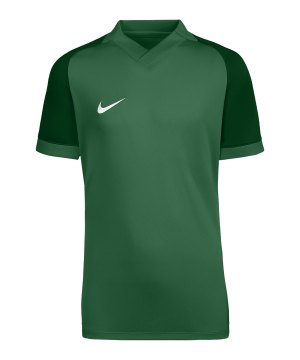 nike-trophy-vi-trikot-kids-gruen-f302-hv8158-teamsport_front.png