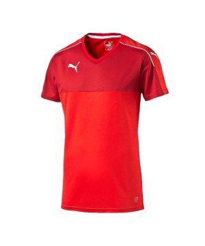 puma-accuracy-trikot-kurzarm-jersey-teamsport-vereine-kids-kinder-rot-weiss-f01-702214.png