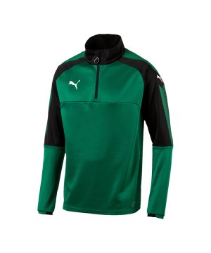 puma-ascension-1-4-zip-top-training-gruen-f05-sportbekleidung-teamsport-herren-men-maenner-sweatshirt-654920.png