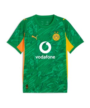 puma-bvb-ss-torwarttrikot-25-26-gruen-f98-946434-fan-shop_front.png