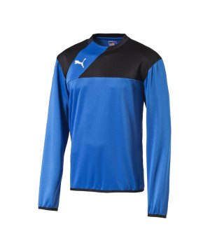puma-esquadra-training-sweatshirt-pullover-fussball-warmmachsweat-kids-kinder-teamsport-f23-blau-654380.png