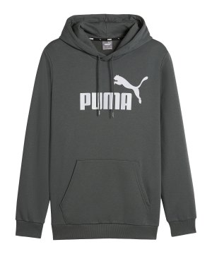puma-essentials-big-logo-hoody-grau-f69-586687-lifestyle_front.png