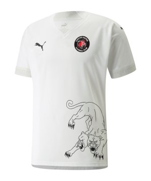 puma-forever-faster-fc-auswaerts-trikot-704170-teamsport.png