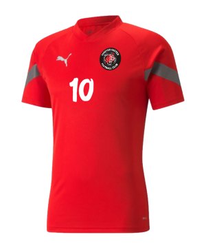 puma-forever-faster-fc-trainings-trikot-657379-teamsport.png