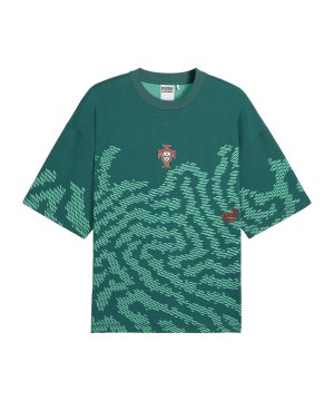 puma-fpf-portugal-salehe-t-shirt-blau-f41-635102-fan-shop_front.png
