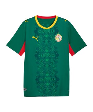 puma-fsf-senegal-trikot-away-wc-2026-gruen-f02-783171-fan-shop_front.png
