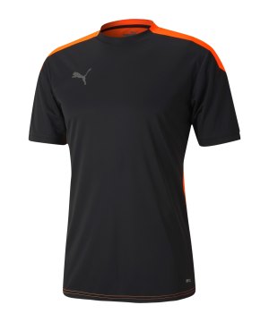 puma-ftblnxt-t-shirt-schwarz-f01-656825-fussballtextilien_front.png