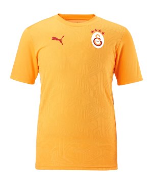 puma-galatasaray-istanbul-training-t-shirt-f202-77969511-fan-shop_front.png