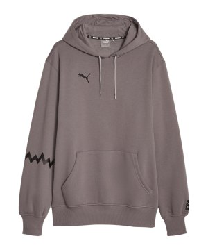 puma-hoops-team-hoody-grau-f02-676648-indoor_front.png