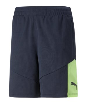puma-individualfinal-short-blau-f47-658042-teamsport_front.png