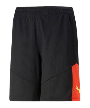 puma-individualfinal-short-schwarz-f48-658042-teamsport_front.png