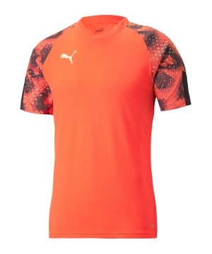 puma-individualfinal-wc-trikot-blau-f48-658211-teamsport_front.png