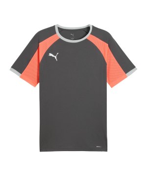 puma-individualliga-trikot-grau-f10-659526-fussballtextilien_front.png