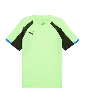 puma-individualliga-trikot-gruen-f02-659526-teamsport_front.png