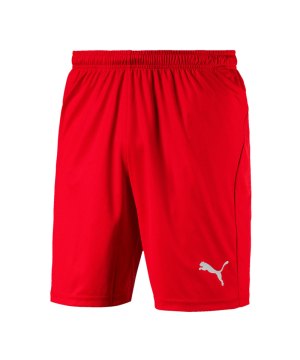 puma-liga-core-short-f01-hose-kurz-teamsport-match-training-mannschaft-703436.png