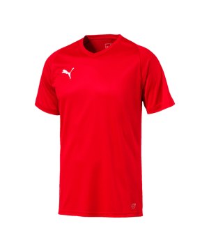 puma-liga-core-trikot-kurzarm-f01-mannschaft-verein-teamsport-ausstattung-703509.png