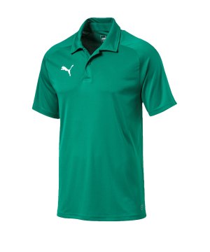 puma-liga-sideline-poloshirt-f05-fussball-spieler-teamsport-mannschaft-verein-655608.png