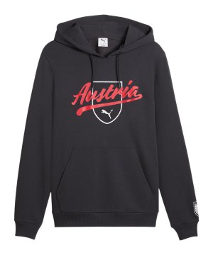 puma-oefb-oesterreich-ftblculture-hoody-grau-f25-783900-fan-shop_front.png