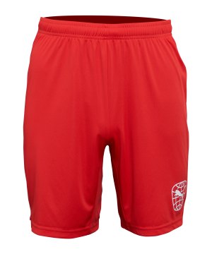 puma-re-fibre-short-rot-f01-705892-fussballtextilien_front.png