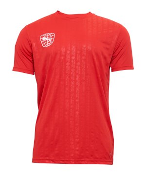 puma-re-fibre-trikot-rot-f01-705888-fussballtextilien_front.png