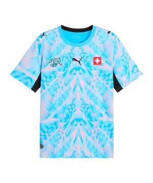 puma-sfv-replica-torwarttrikot-blau-f86-783229-fan-shop_front.png