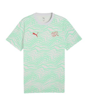 puma-sfv-schweiz-ftblculture-t-shirt-blau-f19-784207-fan-shop_front.png