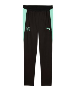 puma-sfv-schweiz-trainingshose-schwarz-f10-784181-fan-shop_front.png