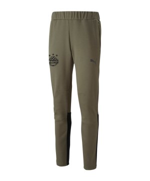 puma-sk-rapid-wien-casual-trainingshose-f35-skr657988-fan-shop_front.png