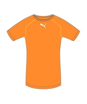 puma-tb-shortsleeve-shirt-underwear-funktionswaesche-unterwaesche-kurzarmshirt-men-herren-maenner-orange-f08-654613.png