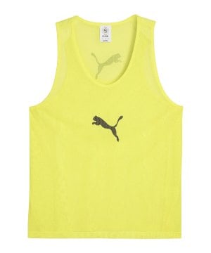 puma-teamadditions-bib-gelb-f23-660717-teamsport_front.png