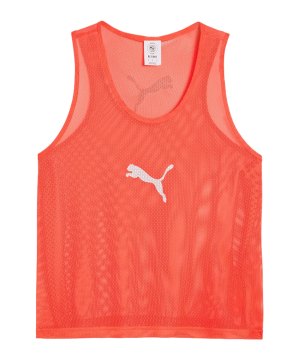 puma-teamadditions-bib-rot-f29-660717-teamsport_front.png