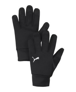 puma-teamadditions-winter-handschuhe-schwarz-f01-042152-equipment_front.png