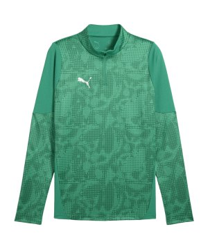 puma-teamcup-1-4-zip-top-sweatshirt-gruen-f05-659164-teamsport_front.png