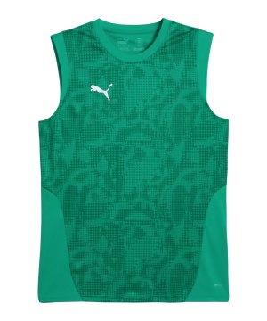 puma-teamcup-training-tanktop-gruen-659168-teamsport_front.png