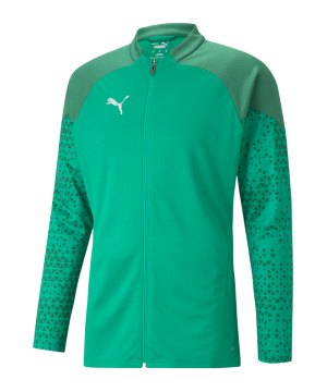 puma-teamcup-trainingsjacke-gruen-f05-657983-teamsport_front.png