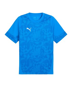 puma-teamcup-trainingsshirt-blau-f02-659167-teamsport_front.png