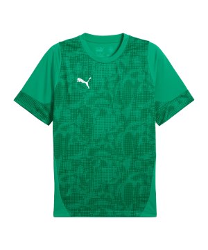 puma-teamcup-trainingsshirt-gruen-f05-659167-teamsport_front.png