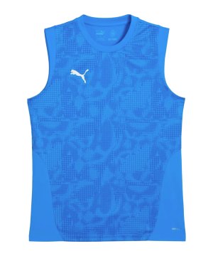 puma-teamcup-trikot-blau-f02-659168-teamsport_front.png