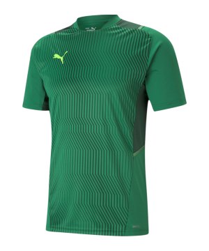 puma-teamcup-trikot-gruen-f05-656735-teamsport_front.png