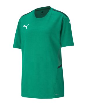 puma-teamcup-trikot-gruen-f05-704386-teamsport_front.png