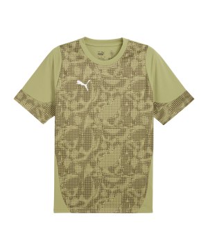 puma-teamcup-trikot-gruen-f40-659167-teamsport_front.png
