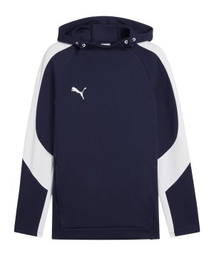 puma-teamevostripe-hoody-blau-f06-659954-teamsport_front.png
