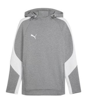 puma-teamevostripe-hoody-grau-f033-659954-teamsport_front.png