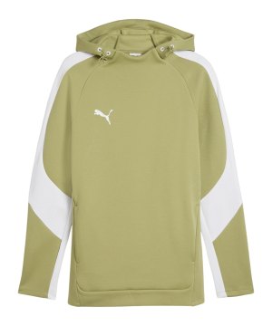 puma-teamevostripe-hoody-gruen-f40-659954-teamsport_front.png