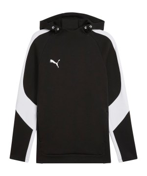 puma-teamevostripe-hoody-schwarz-f03-659954-teamsport_front.png