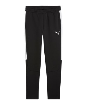 puma-teamevostripe-hose-schwarz-f03-659948-teamsport_front.png