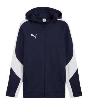 puma-teamevostripe-kapuzenjacke-blau-f06-659947-teamsport_front.png