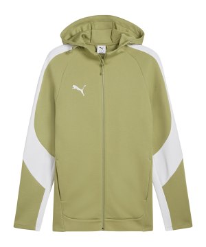 puma-teamevostripe-kapuzenjacke-gruen-f40-659947-teamsport_front.png