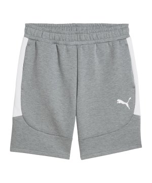 puma-teamevostripe-short-grau-f33-659951-teamsport_front.png