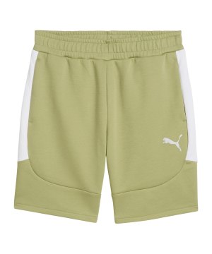 puma-teamevostripe-short-gruen-f40-659951-teamsport_front.png